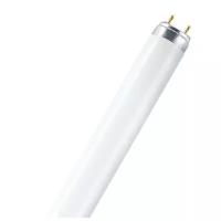 Лампа люминесцентная OSRAM, Lumilux T8 L 18 W/830 4050300517810 G13, T8, 18Вт, 3000К