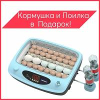 Инкубатор для яиц автоматический 220 12в цифровой 40 яиц, с вентилятором, автопереворотом и овоскопом