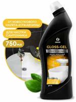 Чистящее средство Grass PROFESSIONAL Gloss, для туалетов и ванных комнат, 750 мл