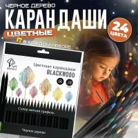 Карандаши цветные мягкие чёрное дерево АРТформат Blackwood 24 цвета