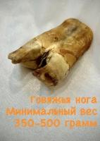 Нога говяжья. Натуральное лакомство для собак, 350-500 гр