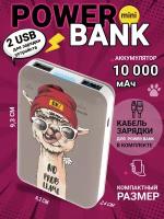 Мобильные ЗУ RITMIX RPB-10007 Lama