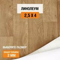 Линолеум для пола на отрез 2,5х4 м Juteks Master Bourbon 1, полукоммерческий, 32 класс, 4832918-2,5х4