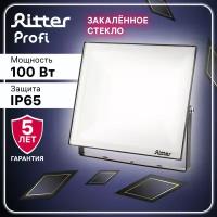 Прожектор светодиодный PROFI 100Вт, 180-240В, IP65, 4000К, 10000Лм, черный, Ritter, 53419 2