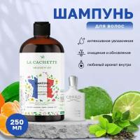 Шампунь для волос увлажняющий La Cachette U031 Silver Mountain Water, 250 мл