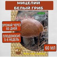 Агрохолдинг Поиск Мицелий грибов Белый гриб на компосте 60 мл