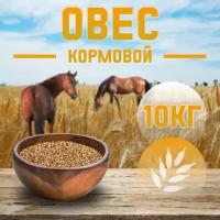 Овес кормовой фуражный 10 кг для птиц и животных