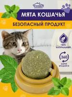 Кошачья мята, игрушка-лакомство для кошек и котов