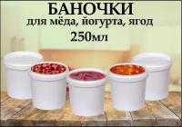 Банка (стаканчик) 0,25 л, емкость пищевая с герметичной крышкой для йогурта, для меда, для ягод, для заморозки, комплект 5 шт