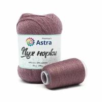 Пряжа Astra Premium 'Пух норки' (Mink yarn) 50гр 290м (+/- 5%) (80%пух, 20%нейлон) (+нить 20гр)