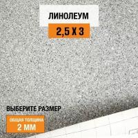 Линолеум для пола на отрез 2,5х3 м Juteks Master Proxi 2, полукоммерческий, 32 класс, 4832909-2,5х3