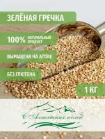 Гречка зеленая для проращивания, для выпечки хлеба и для каши, С Алтайских полей, 1000 грамм
