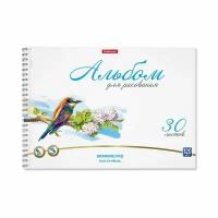 Альбом для рисования А4, 30 листов, блок 120 г/м², на спирали, Erich Krause 