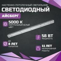 Светодиодный светильник Айсберг 58 Вт, 7250 Lm, 5000К, IP65, Прозрачный для торговых, административных, промышленных и производственных объектов