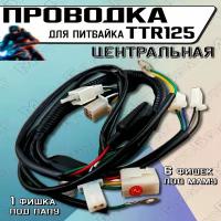 Проводка для питбайков типа TTR125 (жгут проводов)