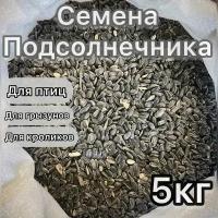 Семечки подсолнечника 5 кг. Сырые, неочищенные. Корм для парковых, лесных, домашних птиц и грызунов