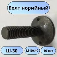 Болт норийный М10х40, ш-30, оц -10 шт