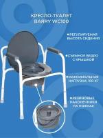 Кресло-туалет Barry WC100