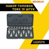 Набор торцевых головок, TORX 19 предметов 1/2