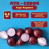 Лук-севок фасованный 0,5 кг. Красный салатный сорт: обладает хорошим иммунитетом, устойчив к болезням и вредителям