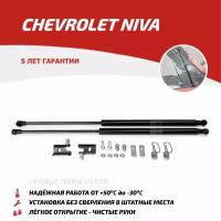 Газовые упоры капота АвтоУпор для Chevrolet Niva 2002-2020, 2 шт, UCHNIV011