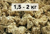 Камни песчаник для аквариума 1,5-2 кг / грот меотис натуральный крупный