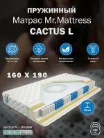 Матрас Mr.Mattress Cactus L, пружинный