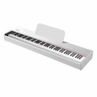 Цифровое пианино TESLER STZ-8805 WHITE