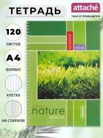 Attache тетрадь общая Nature А4 на спирали, 15145, клетка, 120 л., 1 шт., зеленый