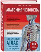 Элсон Лоренс М., Кэпит Уинн: Анатомия человека: атлас-раскраска