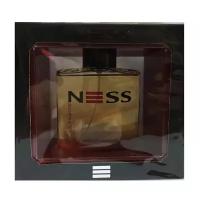 Parfums Evaflor Мужской Ness Ultimate Туалетная вода (edt) 100мл