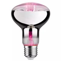 Светодиодная рефлекторная филаментная лампа Green Grow Paulmann 6.5Вт R80 E27 230В Розовый 28733