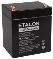 Аккумуляторная батарея ETALON FS 12045