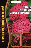 Спирея Бумальда / Spiraea bumaldii