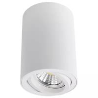 Светильник потолочный Arte Lamp A1560PL-1WH