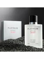 Туалетная вода мужская Platinum style, 100 мл