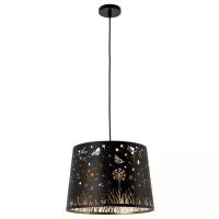 Потолочный светильник Arte Lamp Celesta A2768SP-1BK, E27, 60 Вт, кол-во ламп: 1 шт., цвет: черный