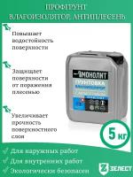 Профгрунт монолит «Г-3 Влагоизолятор» антиплесень, для грунтования поверхностей различных материалов, 5 кг