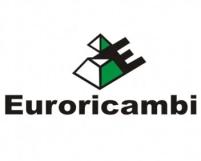 EURORICAMBI 60170883 EU60170883_фланец карданного вала! хвостовика редуктора задн. моста d=180 DIN9T MB 1шт