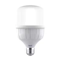 Лампа светодиодная GENERAL LIGHTING 660002, E27, HPL60, 40 Вт, 6500 К