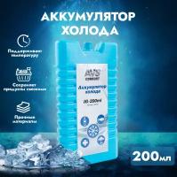 Аккумулятор холода AVS IG-200ml (пластик)