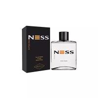 Parfums Evaflor Мужской Ness Intense Туалетная вода (edt) 100мл