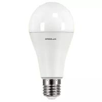 Светодиодная лампочка ERGOLUX LED A65 20W E27 с теплым белым светом