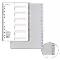 ErichKrause Разделитель листов пластиковый 31 лист, цифровой (1-31), A4, белый/серый