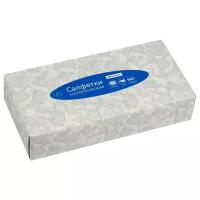 Салфетки косметические OfficeClean, 2-слойные, 20*20см, в картонном боксе, белые, 100шт. (арт. 279679)