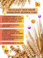 Пшеница для проращивания 1 кг. Эко продукт Краснодарского края