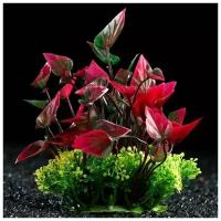 Растение искусственное аквариумное, 15 см, красно-зелёное, 3 шт