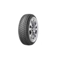 GT Radial WinterPro2 зимняя