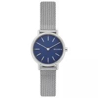 Наручные часы SKAGEN SKW2759