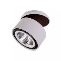 Светильник Lightstar Forte Inca 214829, LED